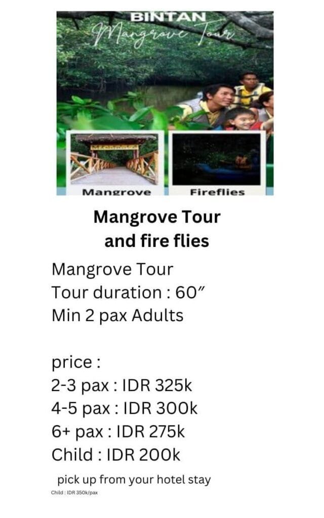 mangrove tour detail price-best activities in bintan island