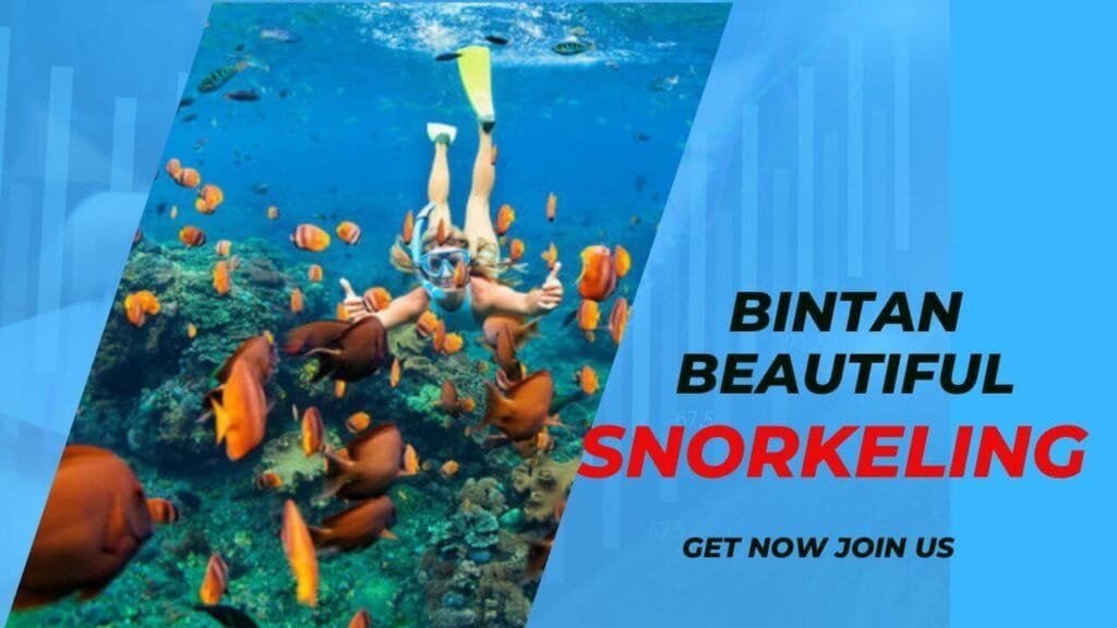 bintan beautifully snorkeling-bintan island activities
